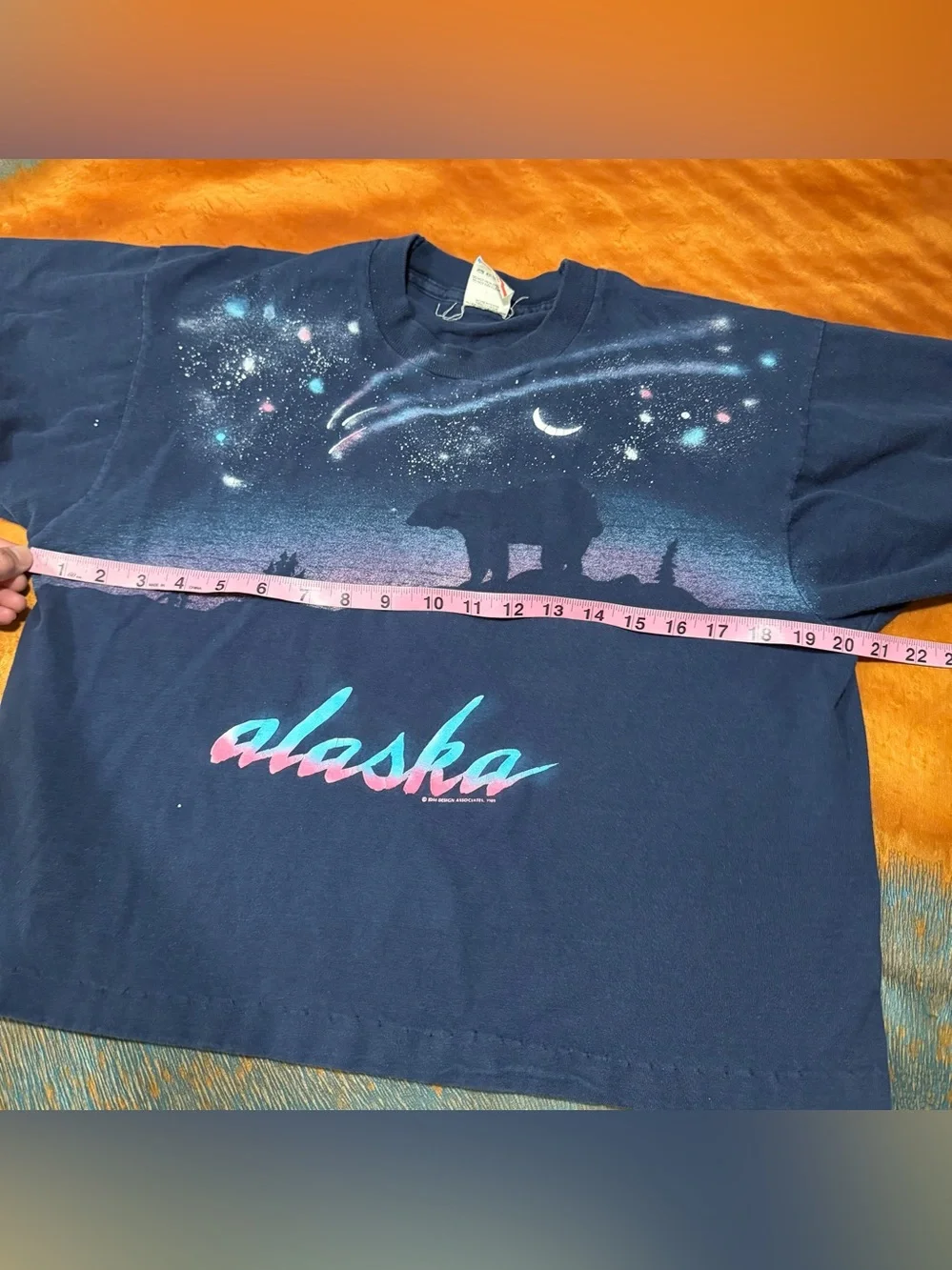 Vintage Alaskan Aurora Northern lights graphic print Crop top t- shirt USA
